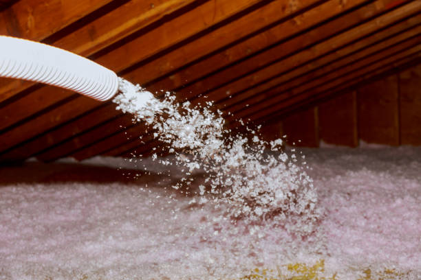 Best Types of Insulation in Mendota Heights, MN