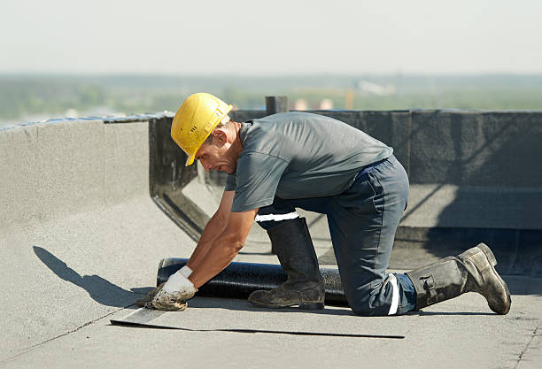 Best Residential Insulation in Mendota Heights, MN