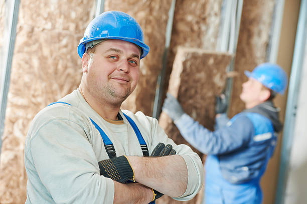 Best Insulation Maintenance and Repair in Mendota Heights, MN